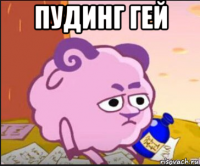 пудинг гей 