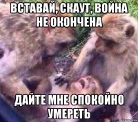 вставай, скаут, война не окончена дайте мне спокойно умереть