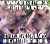 шагая блядь держись мы тебя вылечим эгнер, двудгор. дайте мне умереть спокойно