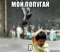 мой попугай я