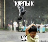 курлык ай