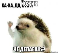 йожик чё делаешь?