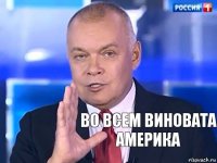 Во всем виновата америка