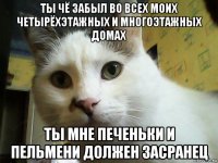 ты чё забыл во всех моих четырёхэтажных и многоэтажных домах ты мне печеньки и пельмени должен засранец