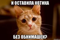 и оставила котика без обнимашек?