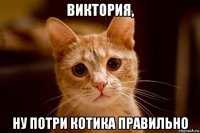 виктория, ну потри котика правильно