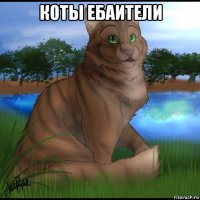 коты ебаители 