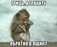 гриць, а гранату обратно в ящик?