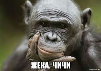  жека. чичи