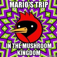 mario's trip in the mushroom kingdom