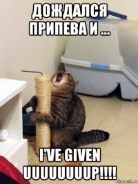 дождался припева и ... i've given uuuuuuuup!!!!