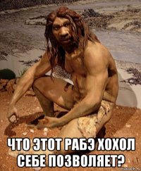  что этот рабэ хохол себе позволяет?