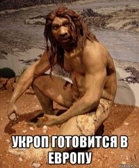  укроп готовится в европу