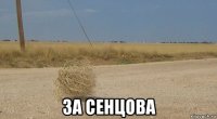  за сенцова