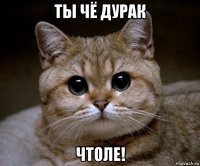 ты чё дурак чтоле!