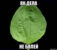 як дела не болей