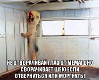  не отворачивай глаз от мема! оно сворачивает шею если отвернуться или моргнуть!