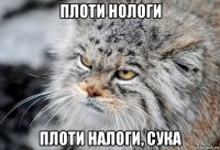 плоти нологи плоти налоги, сука