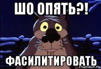 шо опять?! фасилитировать