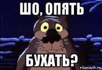 шо, опять бухать?