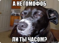 а не гомофоб ли ты часом?