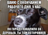 ваню с окончанием рабочего дня, у нас по городу повалило 30 деревьев, ты там осторожней