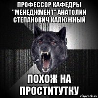 профессор кафедры "менеджмент" анатолий степанович калюжный похож на проститутку