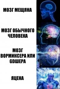 Мозг мещяна Мозг обычного человека Мозг вормиксера или Gdшера ЯЦена