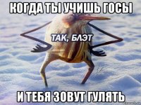 когда ты учишь госы и тебя зовут гулять