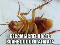  бессмысленность войны)))))))) агагагага