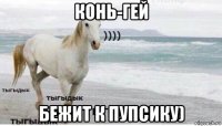 конь-гей бежит к пупсику)