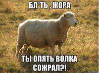 бл*ть , жора ты опять волка сожрал?!