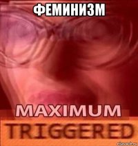 феминизм 