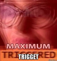  trigget