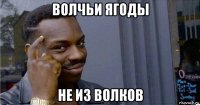 волчьи ягоды не из волков