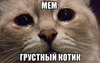 мем: грустный котик