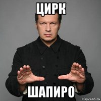 цирк шапиро