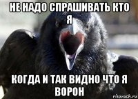 не надо спрашивать кто я когда и так видно что я ворон