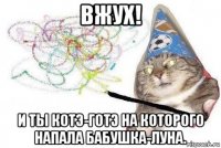 вжух! и ты котэ-готэ на которого напала бабушка-луна.