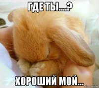 где ты....? хороший мой...