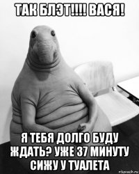 так блэт!!!! вася! я тебя долго буду ждать? уже 37 минуту сижу у туалета