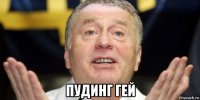  пудинг гей