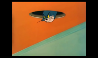 Ceiling Tom