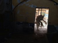Друг