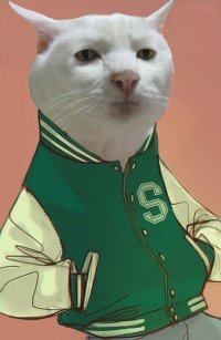 Кот в шоке