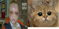 Котенька мой