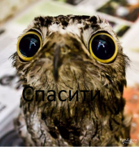 Спасити