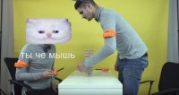 Все мемы Ты че мышь