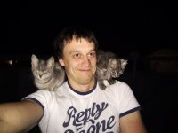 Все суета кроме кота