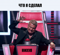 Что я сделал Нихуя